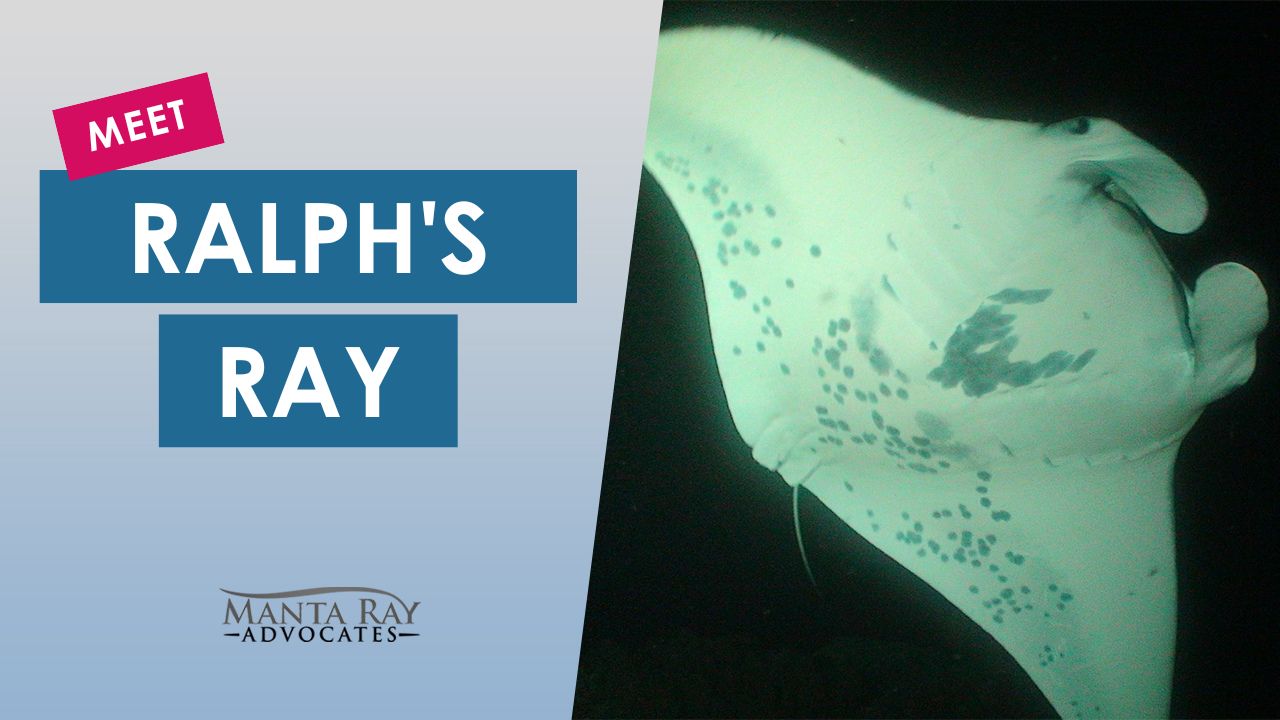 Ralph’s Ray