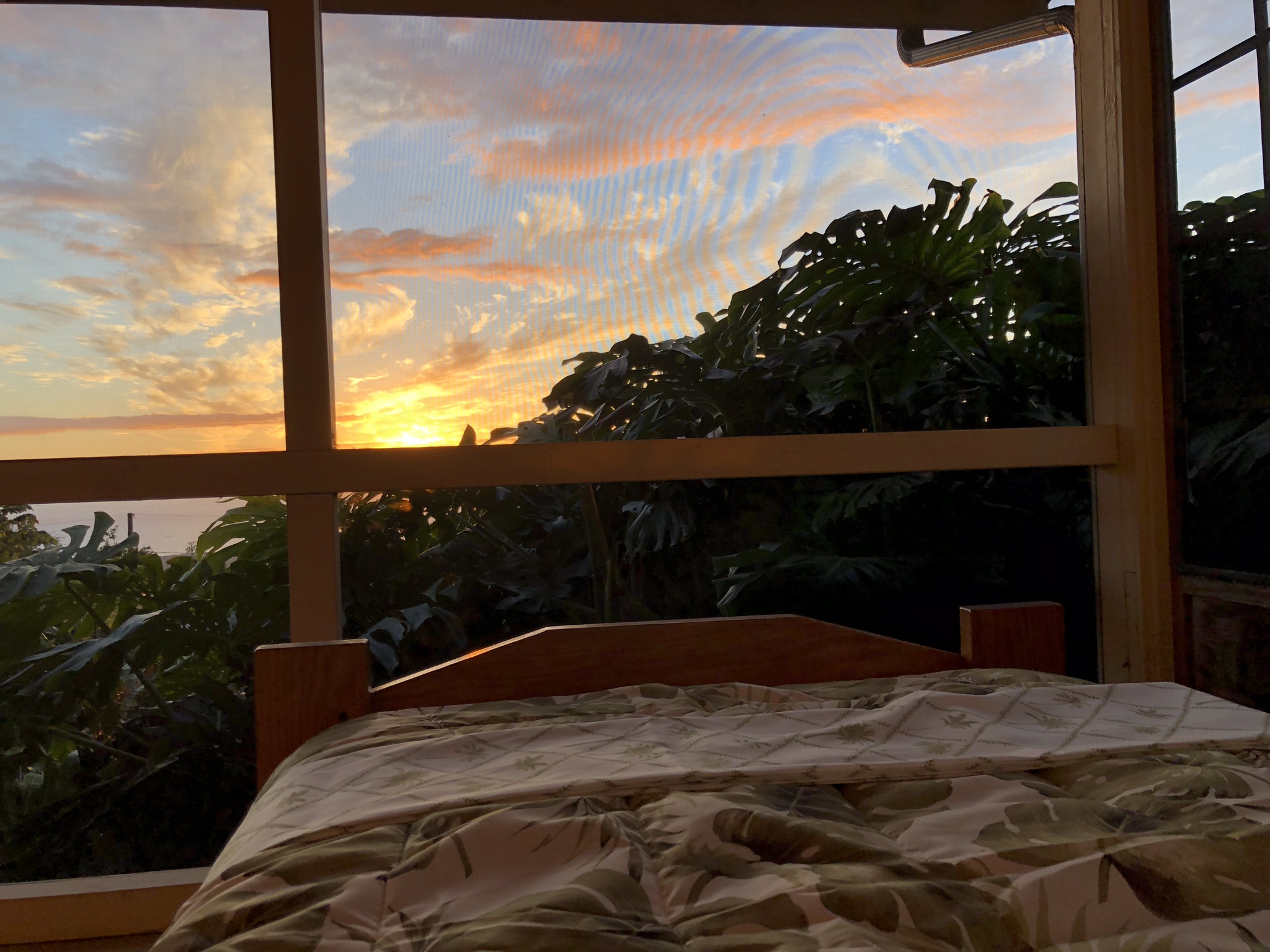 14 Ohana - lanai 3