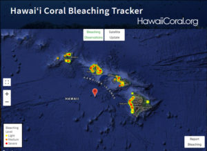 Screenshot of the Hawaii Coral Bleaching Tracker on HawaiiCoral.org