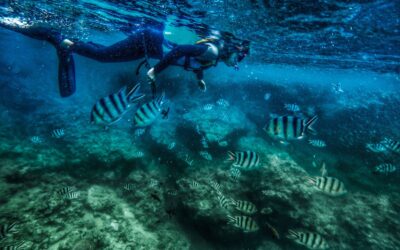 Snorkeling Safety Tips