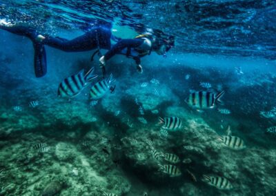 Snorkeling Safety Tips