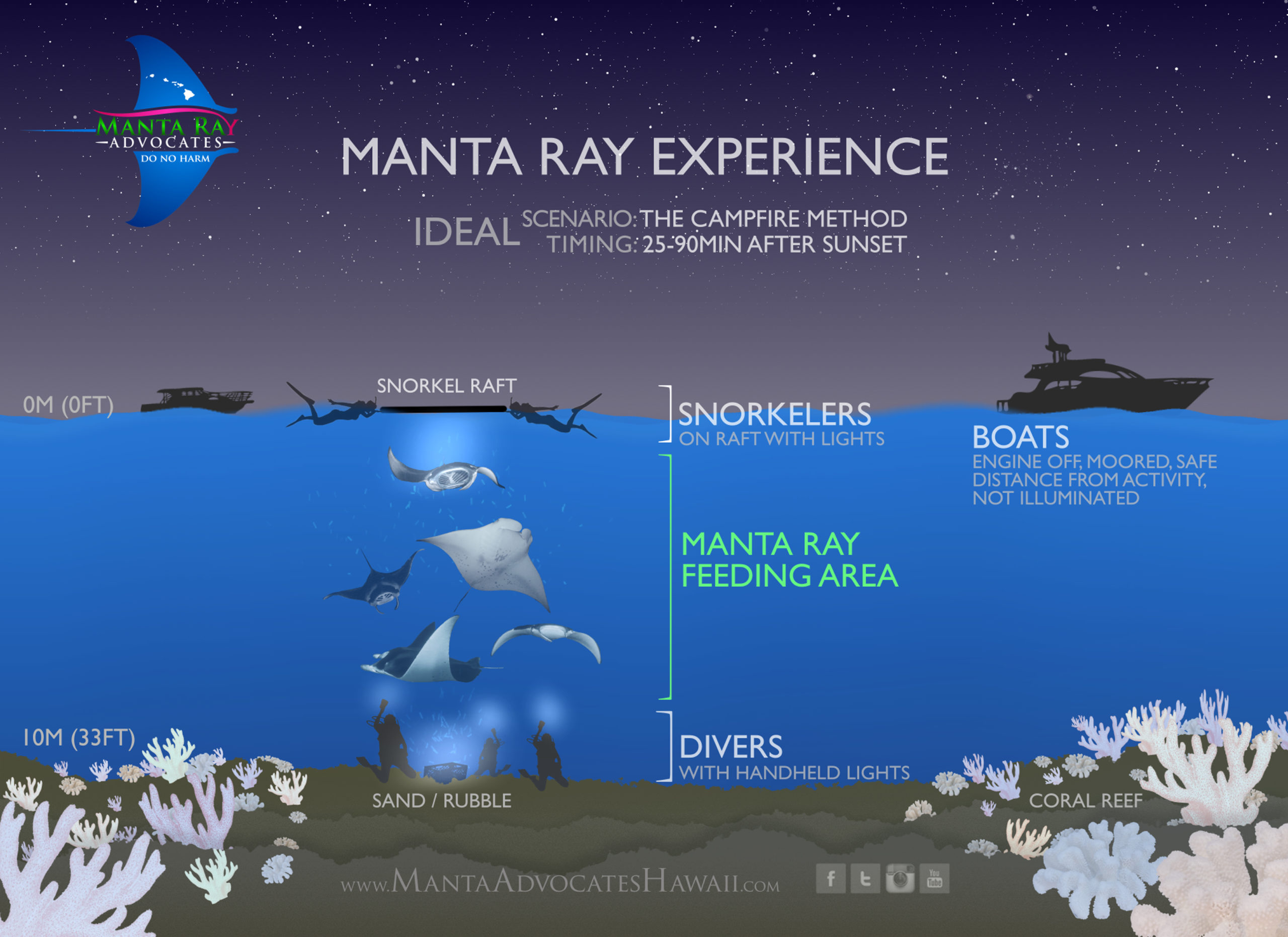 Detailed underwater photograph of the manta ray swimming experience
