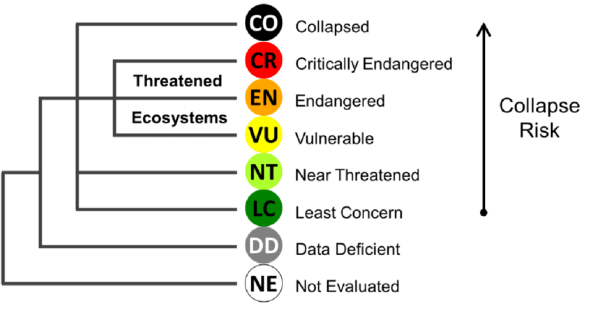 IUCN Red list demonstration moving from collapsed to not evaluated species
