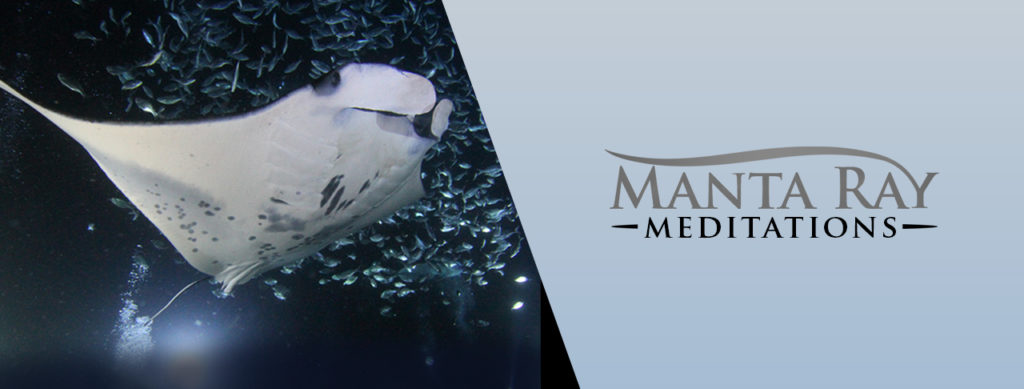 Manta Ray Meditations