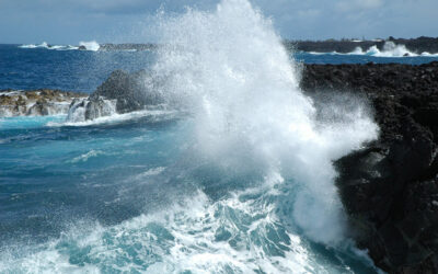 What’s the Best Time to Swim with Manta Rays in Hawaii?
