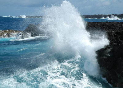 What’s the Best Time to Swim with Manta Rays in Hawaii?