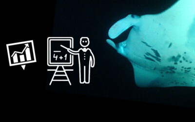 How are Data for Manta Ray Statistics Collected?