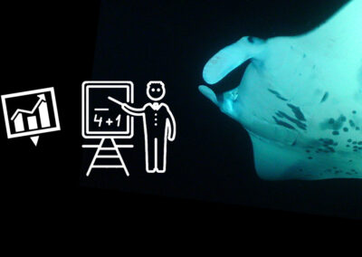 How are Data for Manta Ray Statistics Collected?