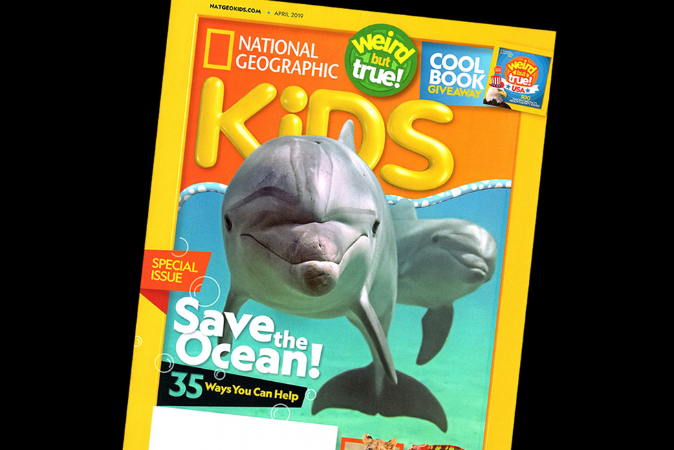 Notch the rescued dolphin - who asked divers for help - being featured in National Geographic Kids Magazine