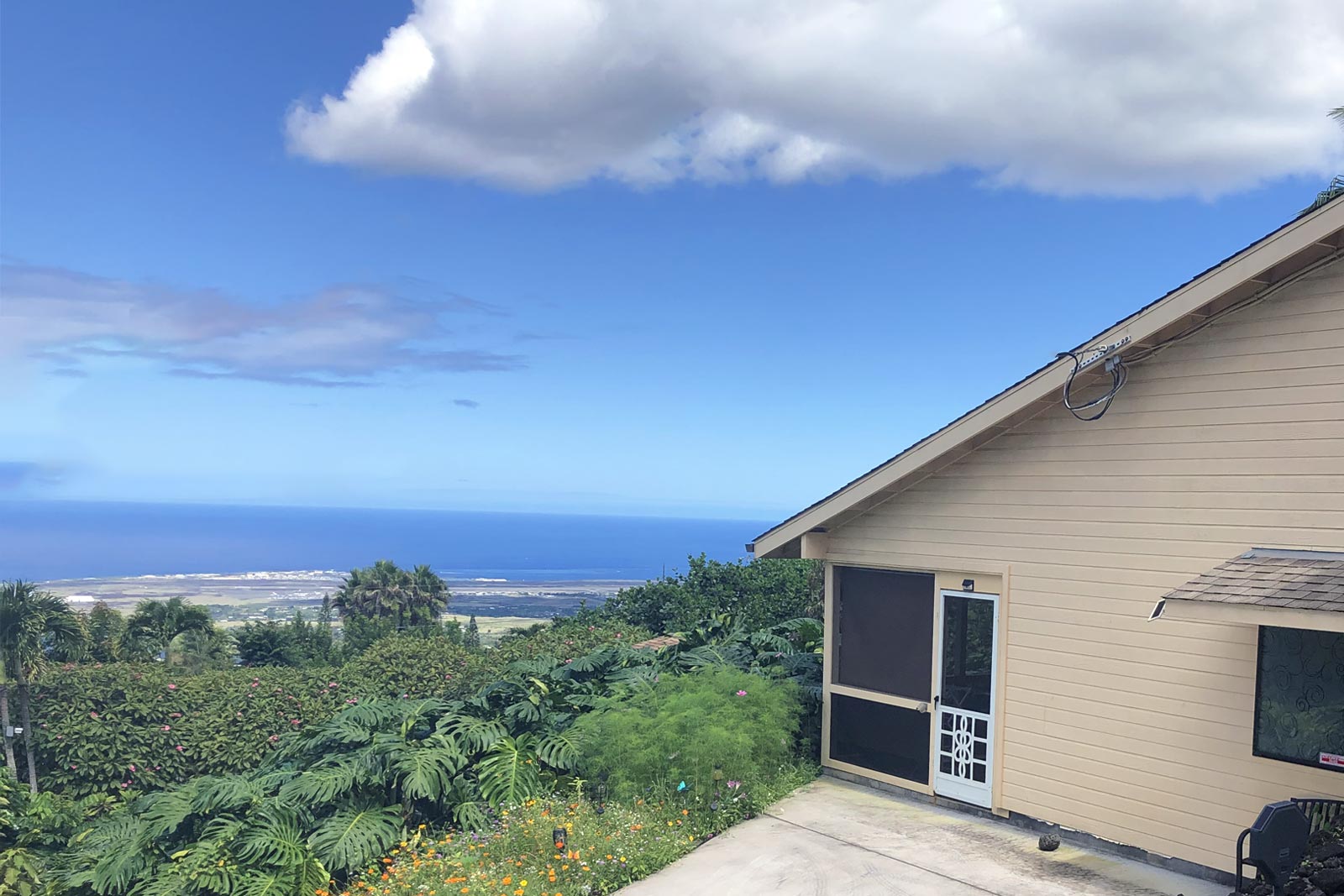 31 Ohana - parking