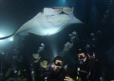 Are Manta Ray Expeditions Harmful to Manta Rays?