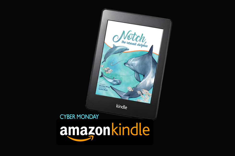 2020-BLOG-Featured-Image-Notch-Kindle-Release-1