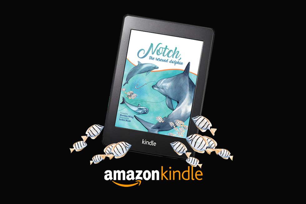 2020-BLOG-Featured-Image-Notch-Kindle-Release-2