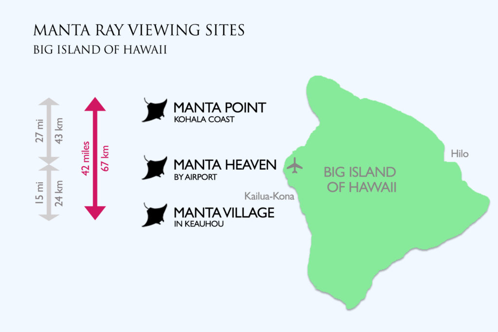 Manta Ray Viewing Areas along the Kona Coast of Hawaii: Manta Point on the Kohala coast, Manta Heaven near the airport, and Manta Village in Keauhou - with a map of the Big Island of Hawaii