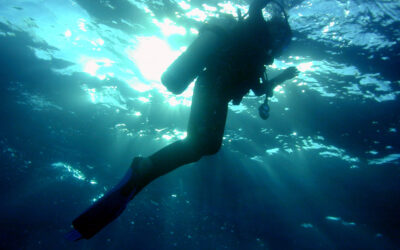 What Equipment do you Need for Snorkeling with Manta Rays?