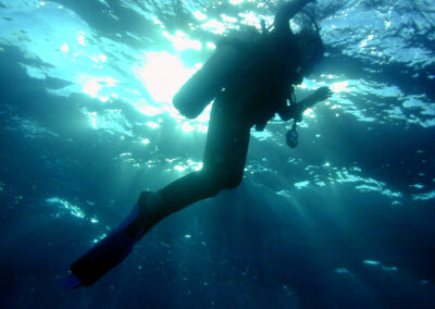 What Equipment do you Need for Snorkeling with Manta Rays?
