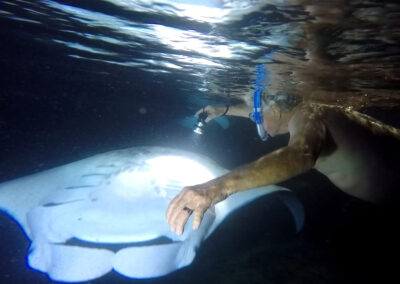 Swimming with Manta Rays – COVID-19 Precautions