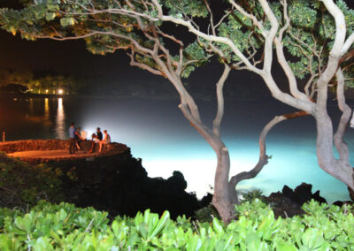 The 3 Manta Ray Viewing Sites in Kona, Hawaii
