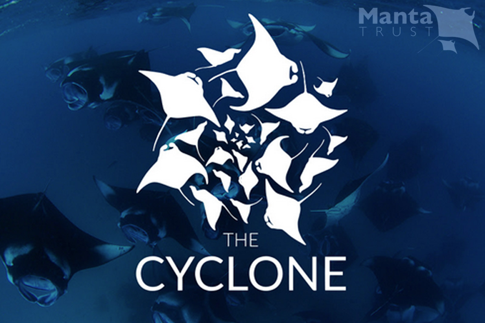 The MantaTrust Organization and their community 'The Cyclone'