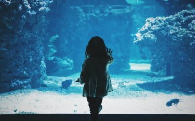 5 Awesome Websites to Teach Kids About Ocean Conservancy