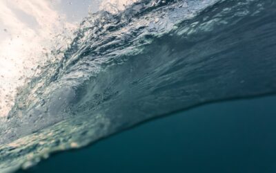Ocean Safety – Why it Matters & How to Check the Ocean Forecast