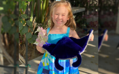 Great Gift Ideas for Manta Ray Lovers