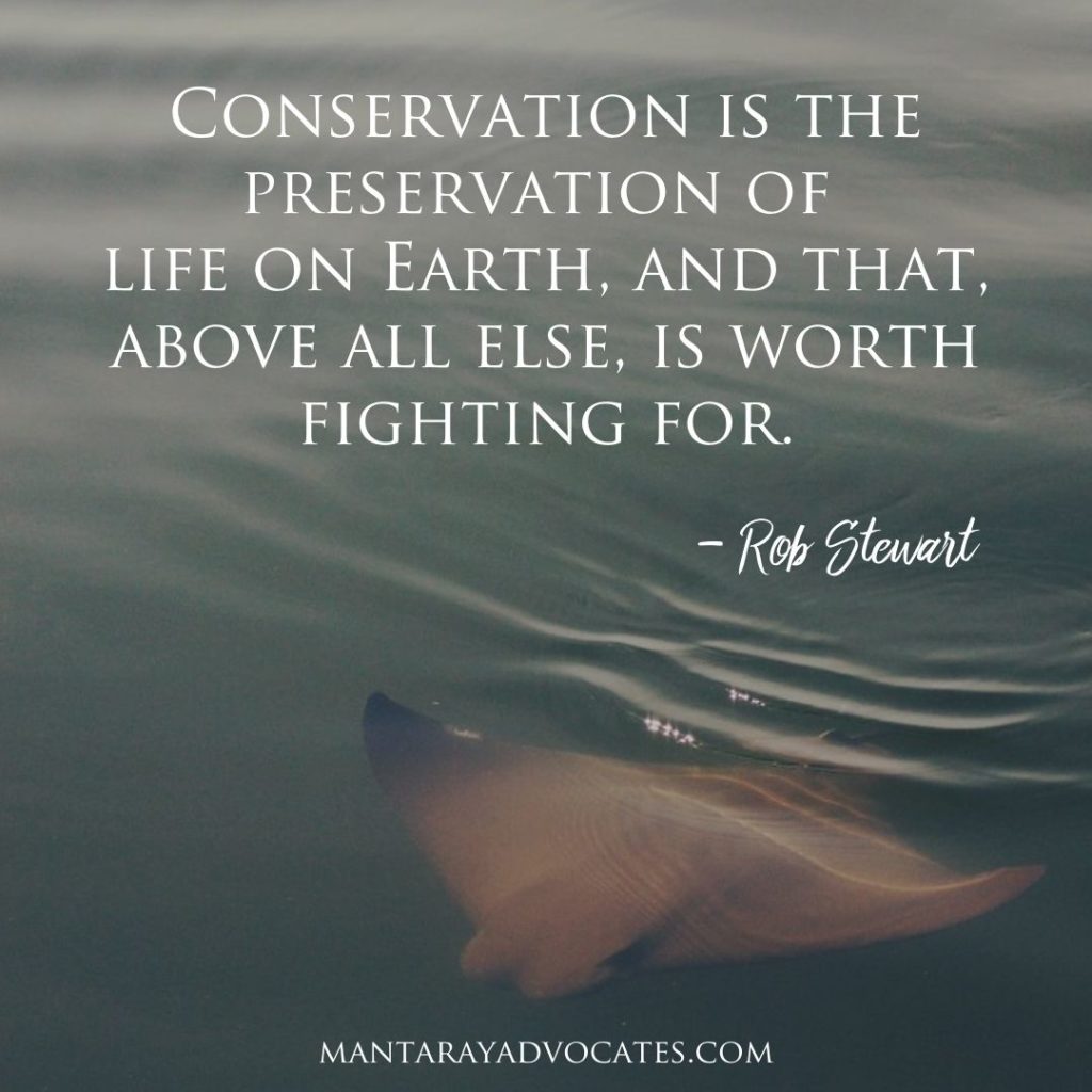 “Conservation is the preservation of life on earth, and that, above all else, is worth fighting for.” - Rob Stewart.