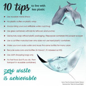 Graphic showing the 10 tips we feature in this article, with illustrations of a manta ray and two dolphins taken from the book "Notch, the Rescued Dolphin"