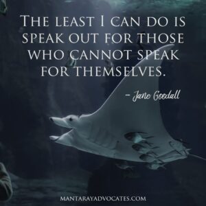 "The least I can do is speak out for those who cannot speak for themselves." - Jane Goodall.