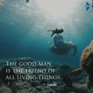 "The good man is the friend of all living things." - Gandhi.
