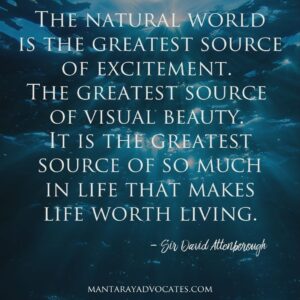 "The natural world is the greatest source of excitement. The greatest source of visual beauty. It is the greatest source of so much in life that makes life worth living." - Sir David Attenborough.