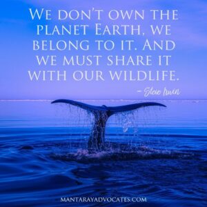 "We don’t own the planet Earth, we belong to it. And we must share it with our wildlife." - Steve Irwin.