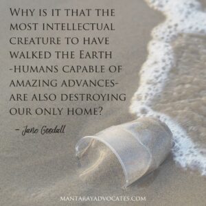 "Why is it that the most intellectual creature to have walked the Earth-humans capable of amazing advances- are also destroying our only home?" - Jane Goodall.