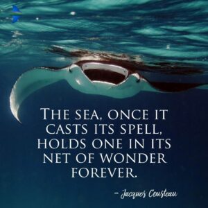 "The sea, once it casts its spell, holds one in its net of wonder forever." - Jacques Cousteau.