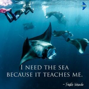 "I need the sea because it teaches me."- Pablo Neruda.