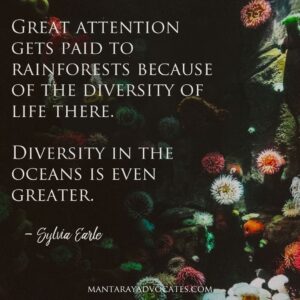 "Great attention gets paid to rainforests because of the diversity of life there. Diversity in the oceans is even greater." - Sylvia Earle.