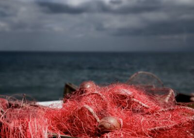 5 Things You Can Do (Right Now) to Save the Ocean and Protect Marine Life