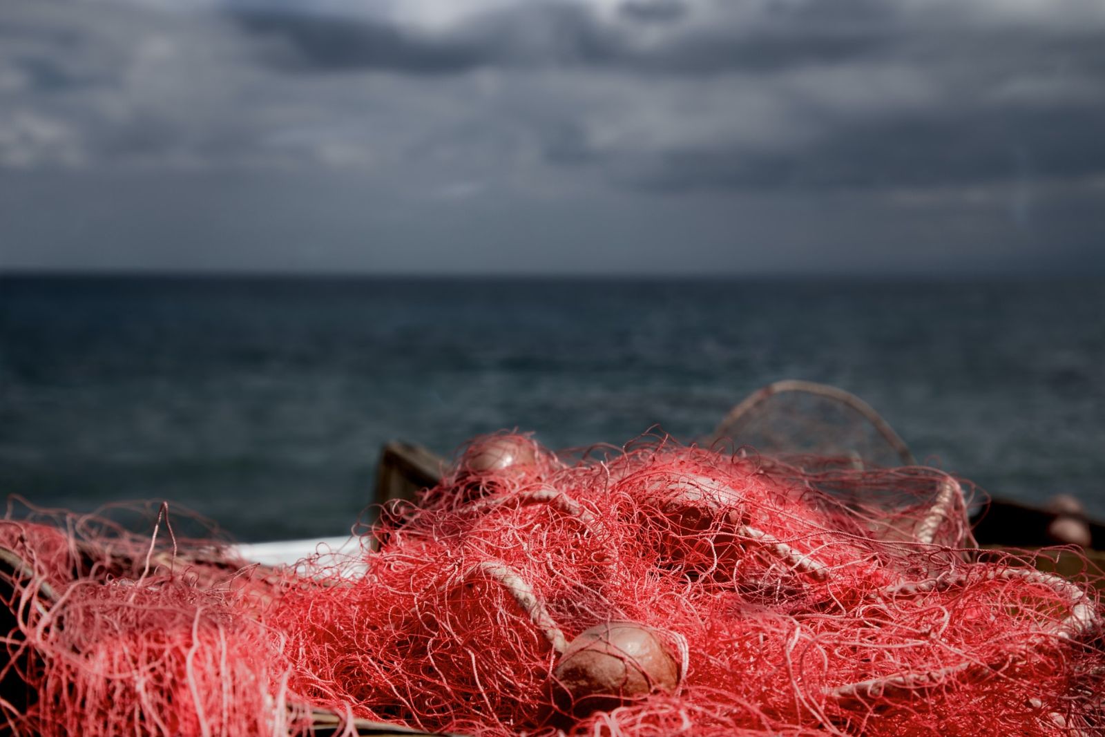 Save the ocean from overfishing and other disasters