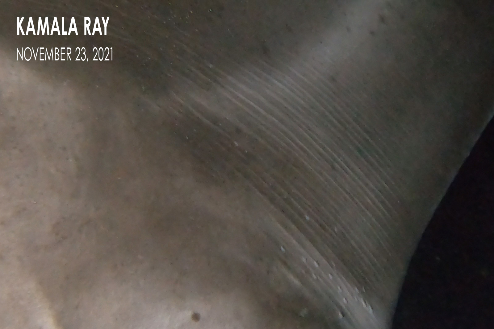 Kamala Ray - Manta Ray Pup