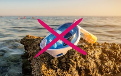Why we Banned Full-Face Snorkeling Masks from our Manta Ray Activities