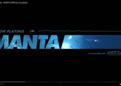 Manta Rays go Heavy Metal: the Making Of a Music Video