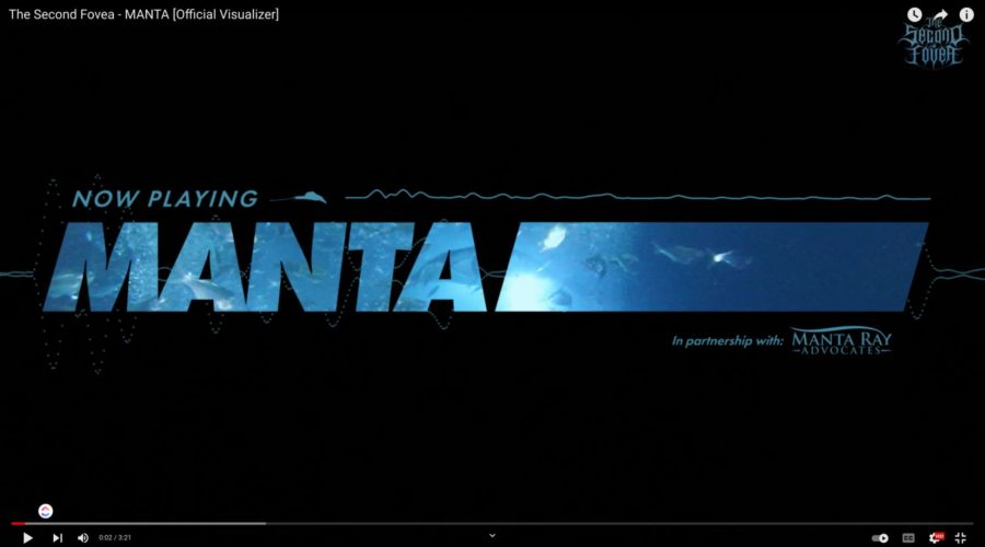 Manta: a heavy metal music video featuring manta rays