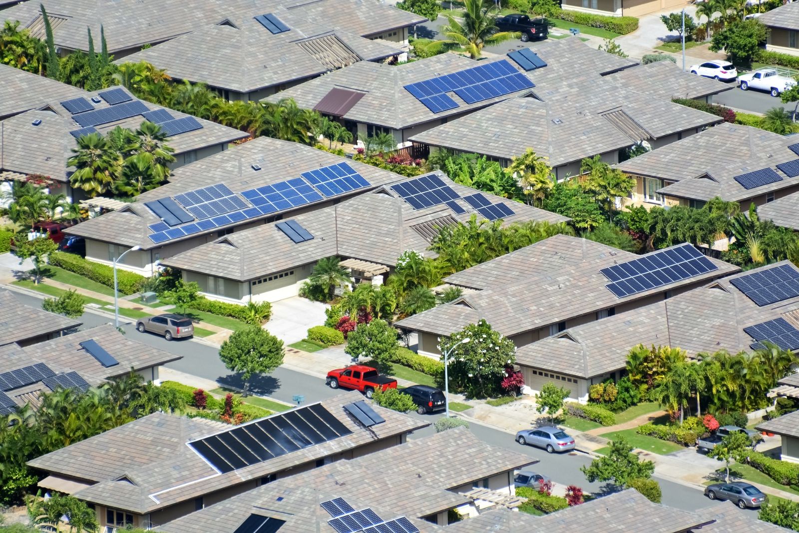 manta-ray-advocates-sustainability-001 Solar panels on roofs in Hawaii - aiming for sustainability