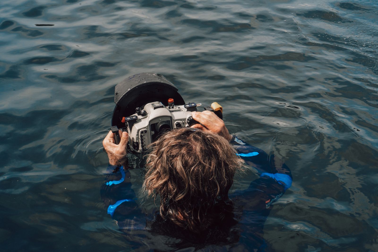 underwater video filming vs photography Underwater video filming vs underwater photography