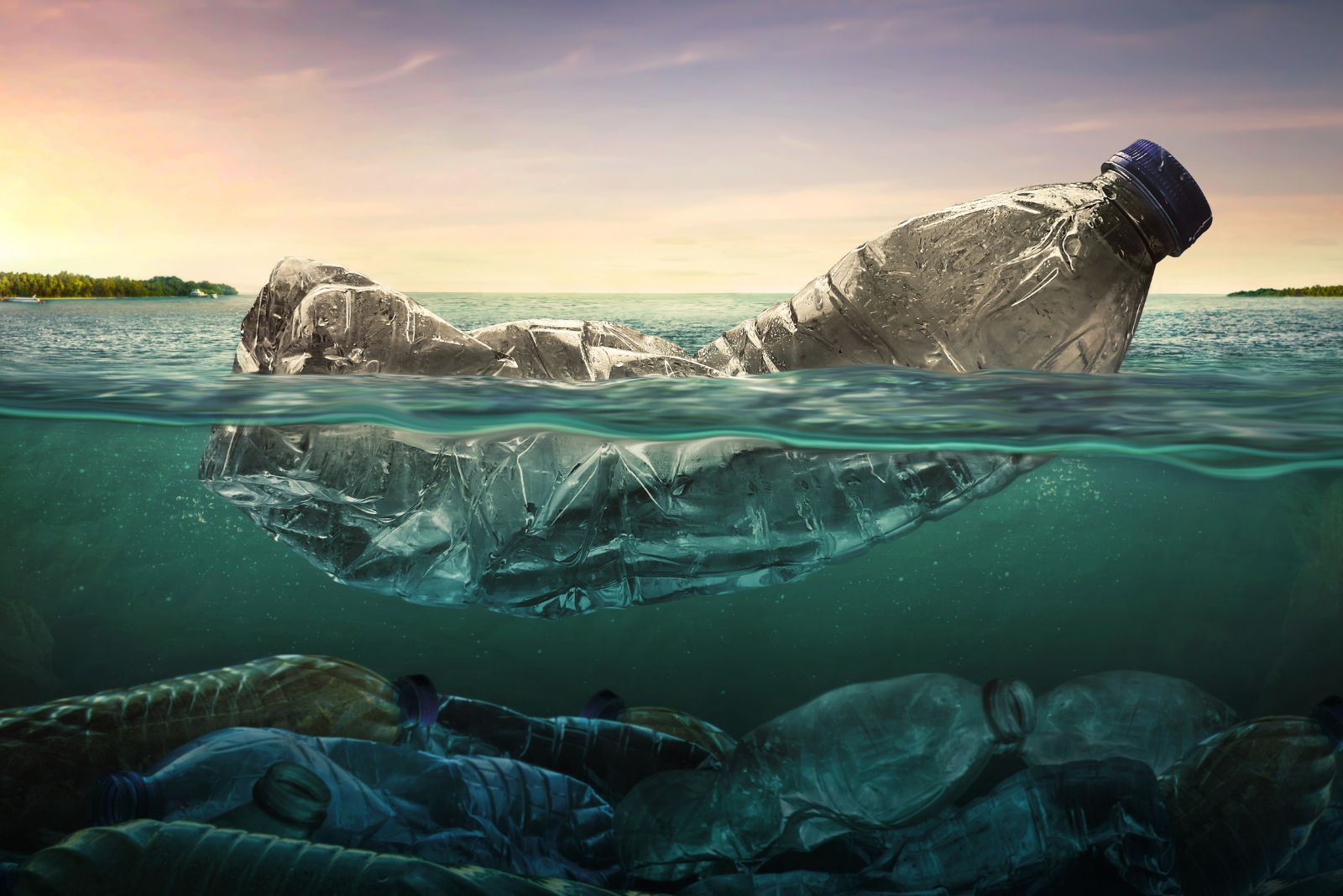 ocean cleanup organizations – manta ray advocates Ocean cleanup organizations: image of plastic bottle floating in the sea