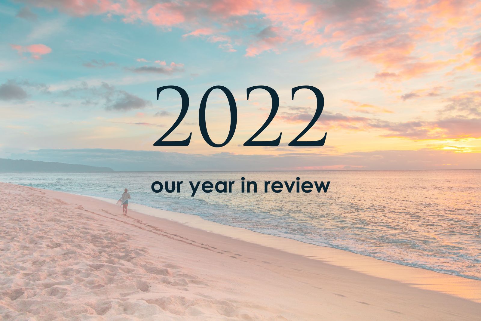 2022 best ocean stories manta ray advocates Best stories of 2022: our year in review.
