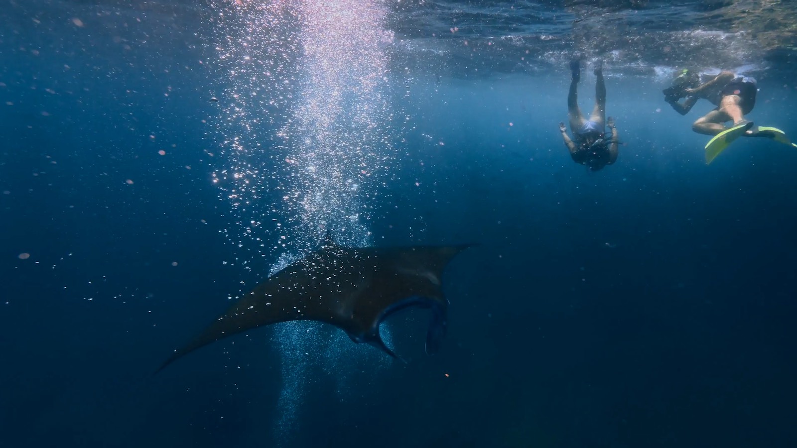 manta-ray-snorkel