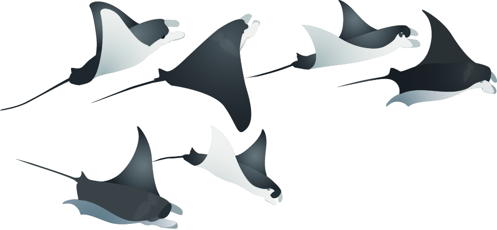 Asset 16manta-group-