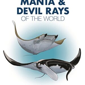 Guide to the Manta & Devil Rays of the World