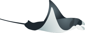 manta-Asset 17